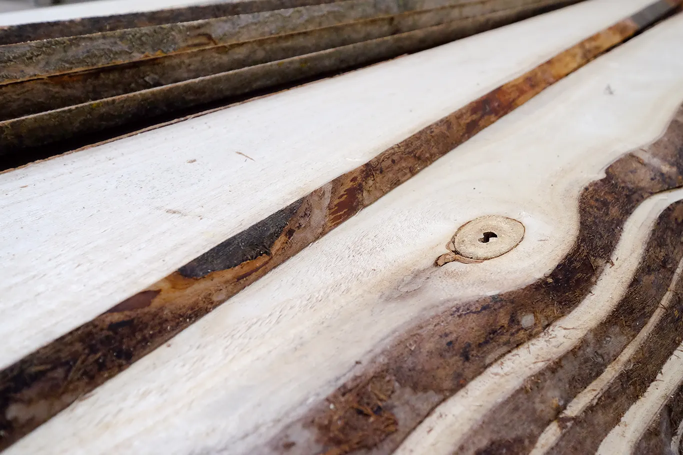 Stacked sawn paulownia planks, close up